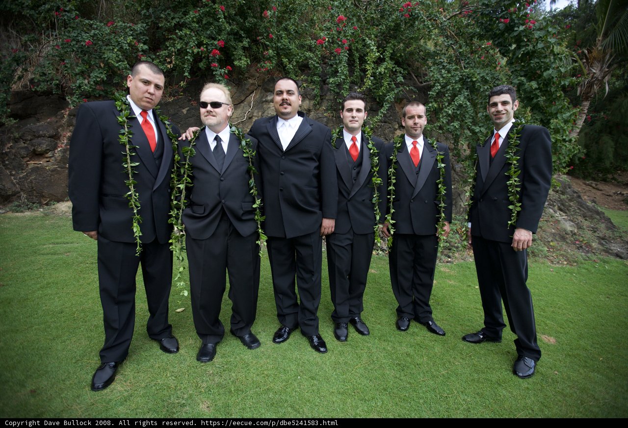 Groom and Groomsmen Look Refined in Formal Wear