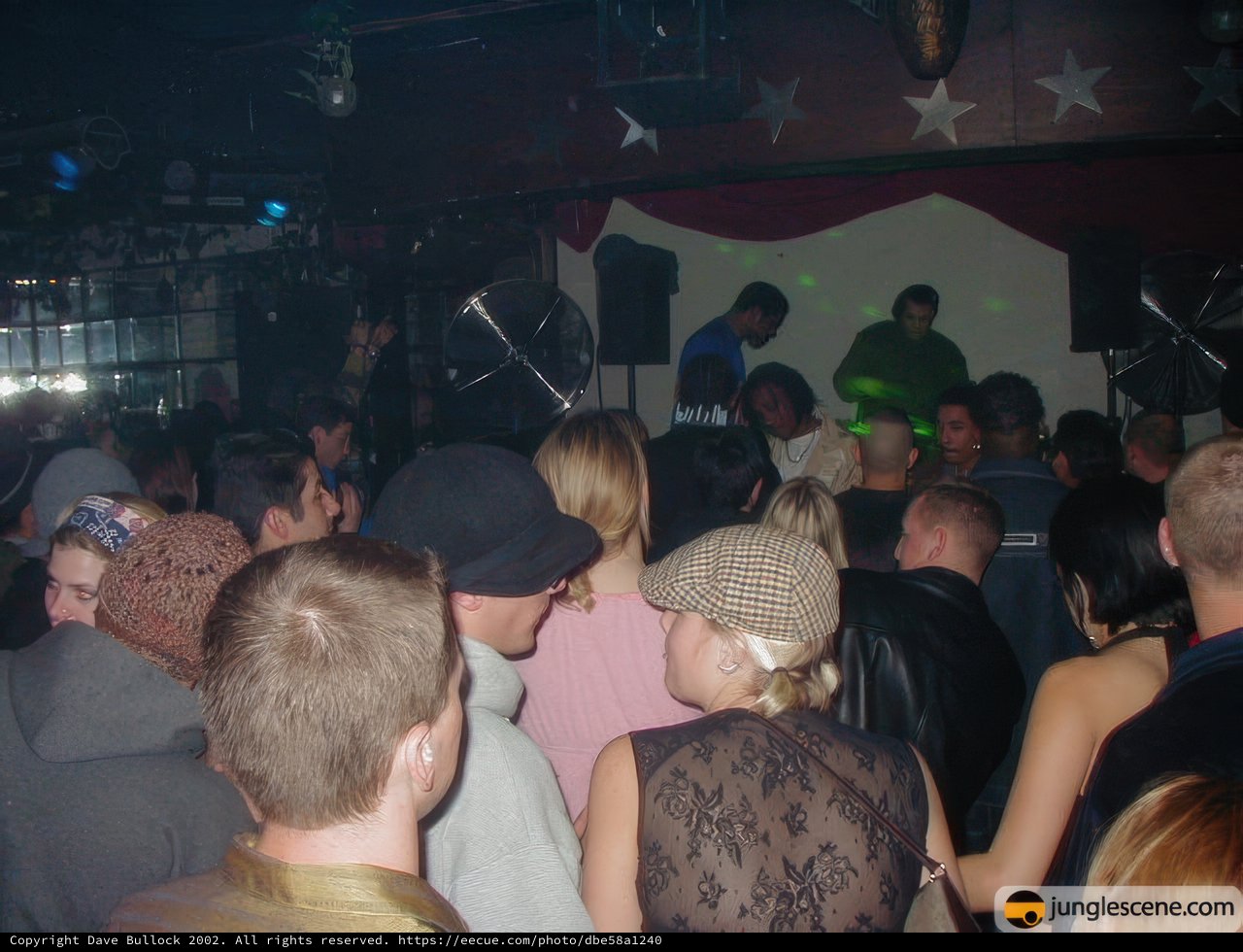 Partygoers Dancing the Night Away at a Nightclub