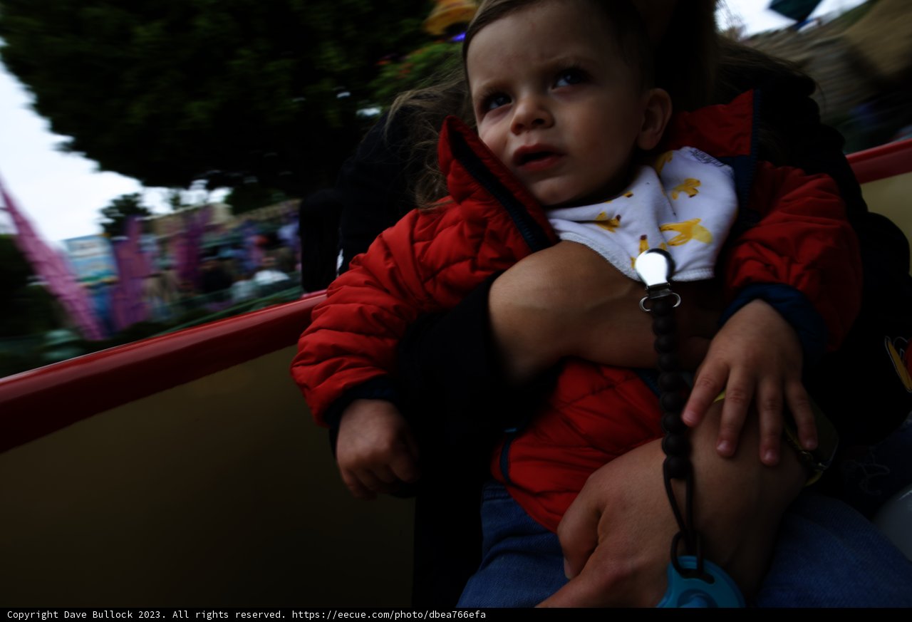 Magical Moments at Disneyland