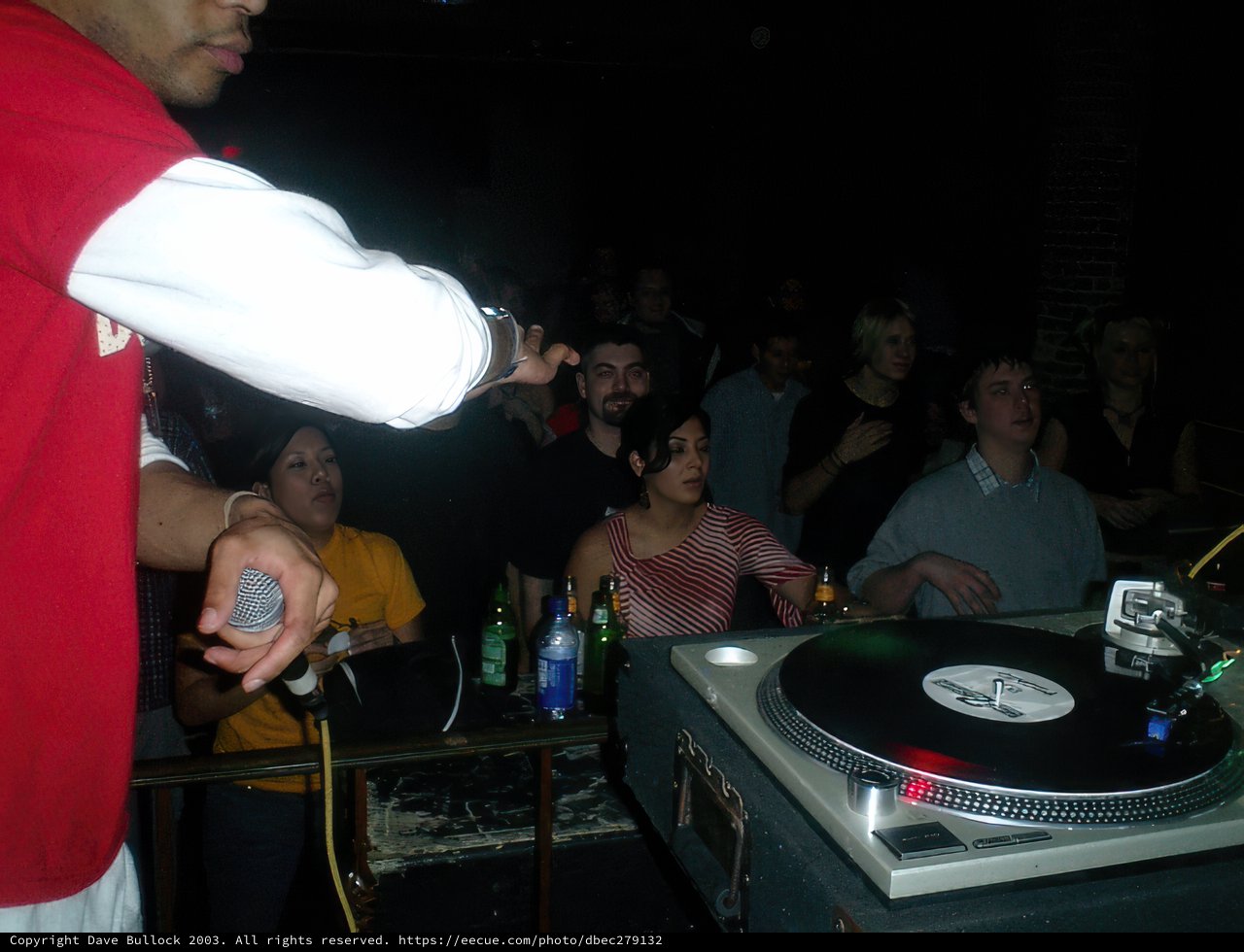 The Turntable Entertainer