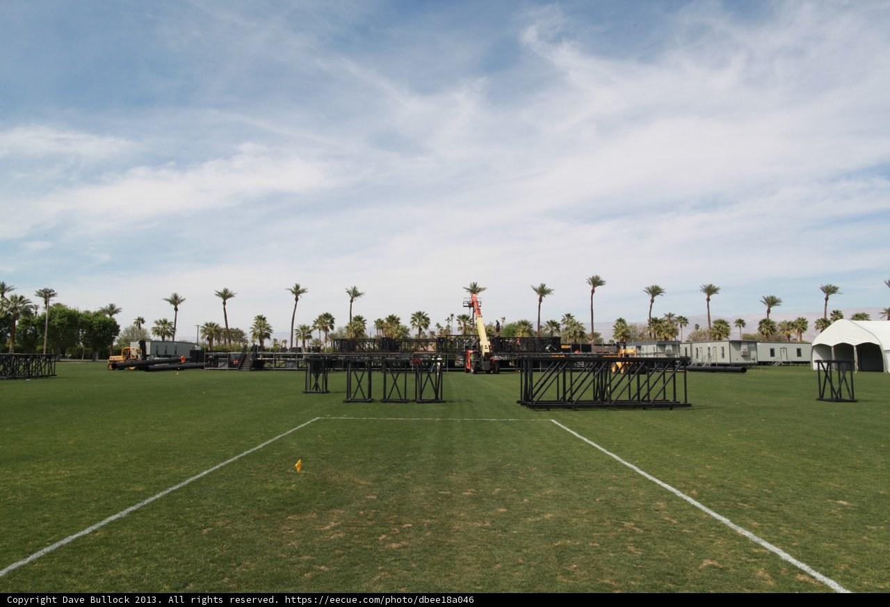 Soccer Fun in the Palm Tree Field