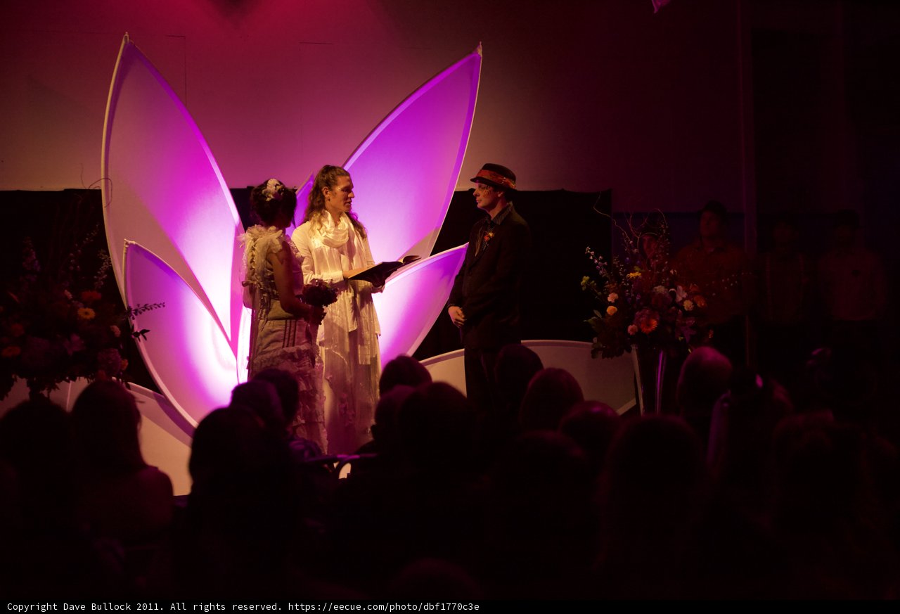 A Romantic Night on the Purple Spotlight