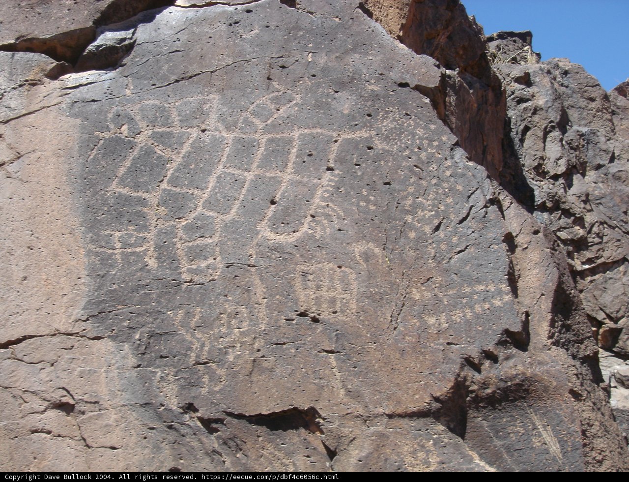 The Ancient Animal Rock