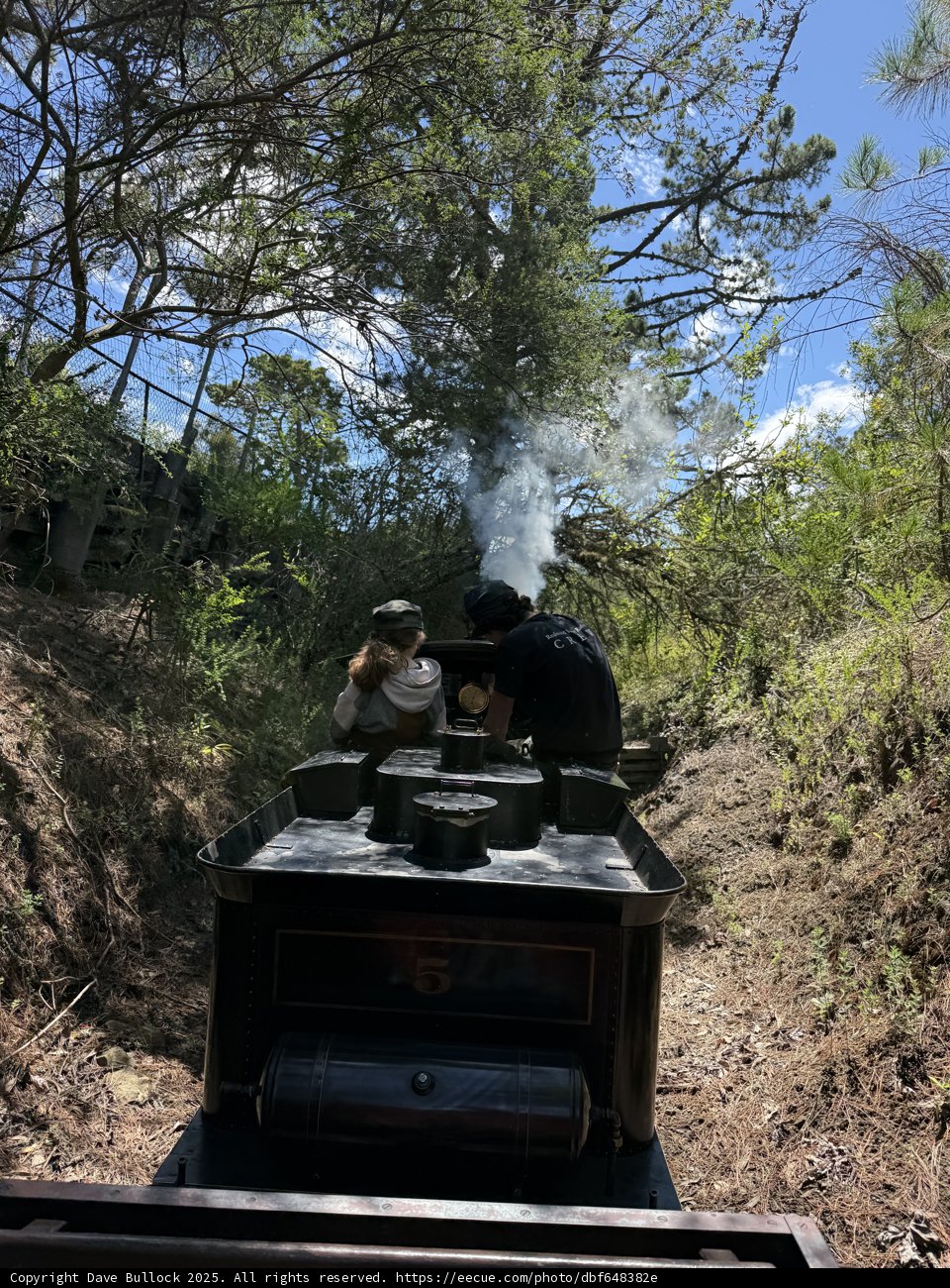 Journey Through Nature's Wonderland
