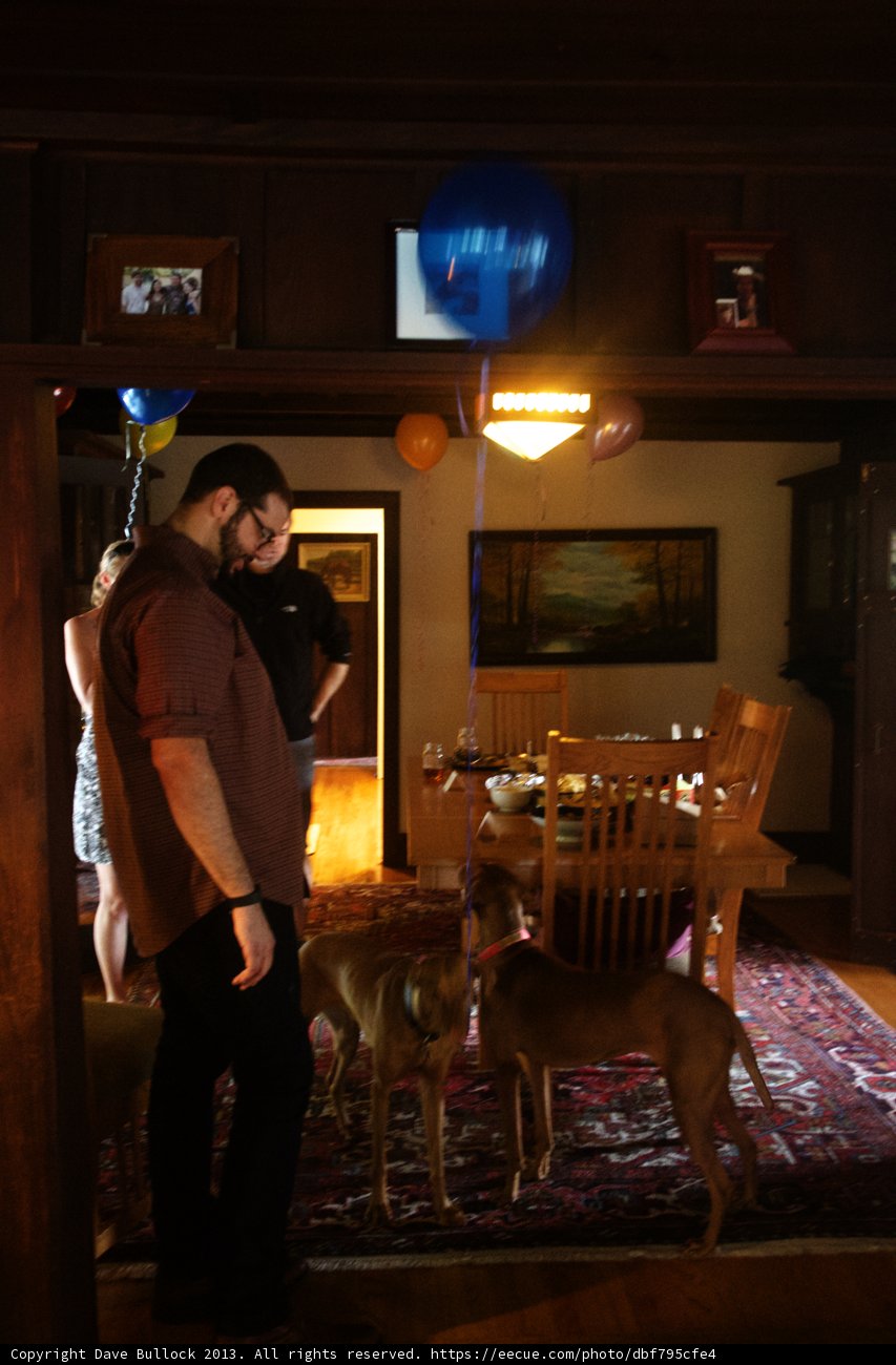 Man and his Canine Companion in the Dining Room