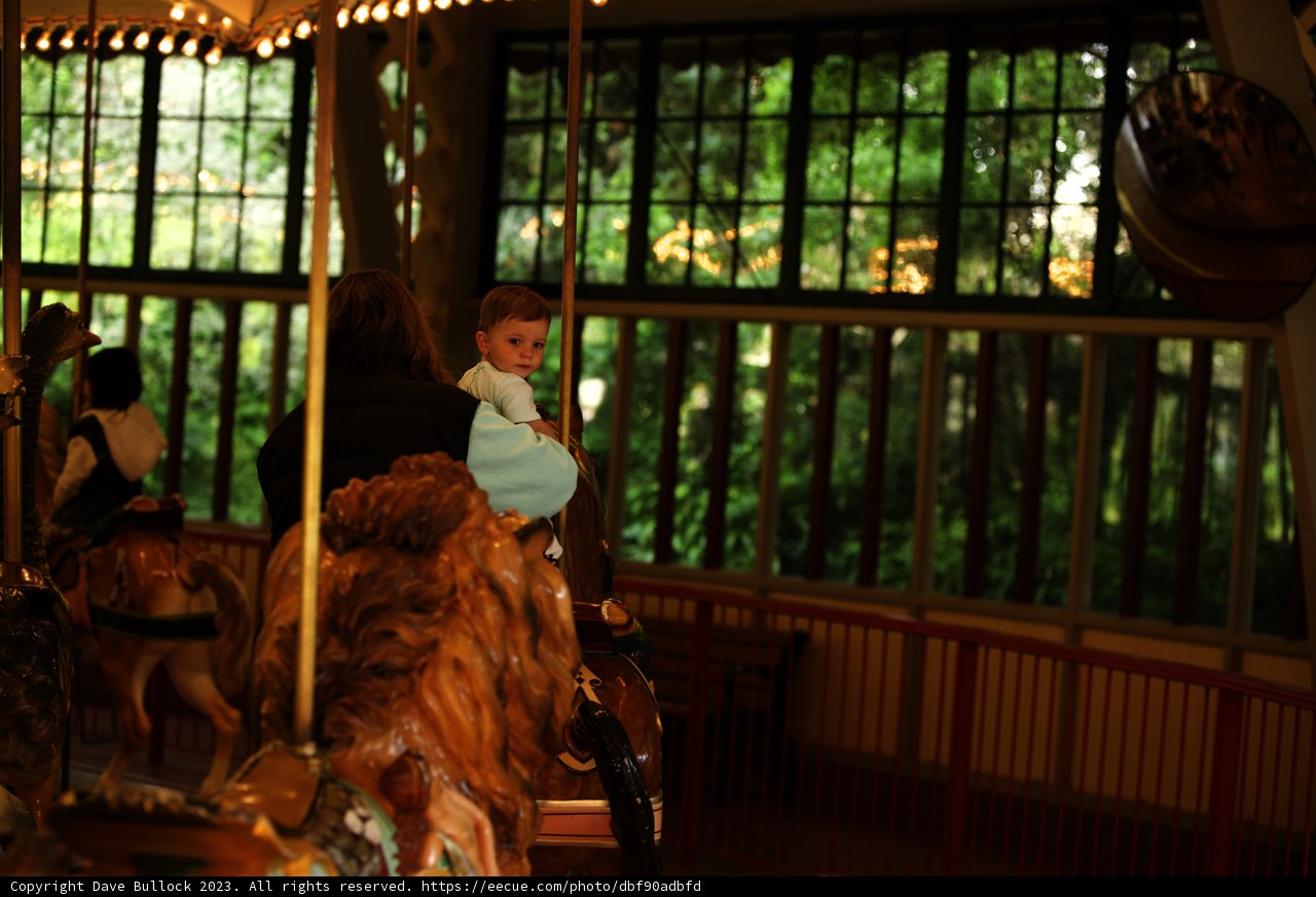 Merry-Go-Round Magic at SF Zoo