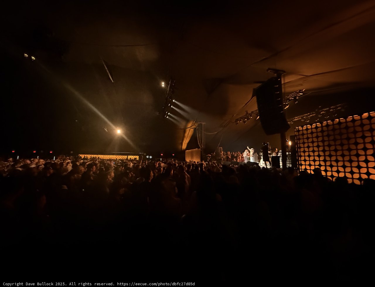 Electric Vibes Under the Desert Sky