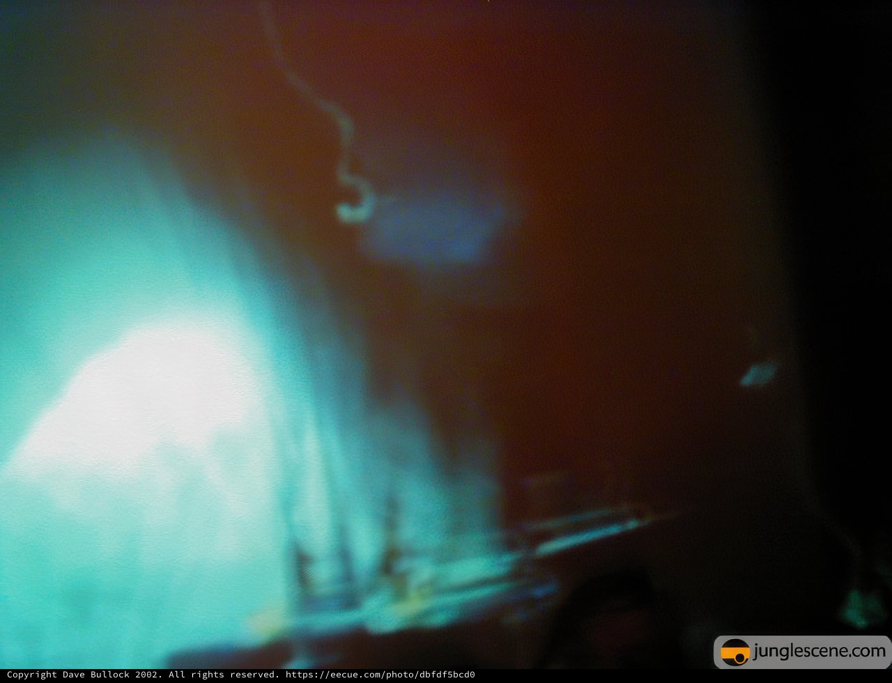The Blur of a Nightclub Concert