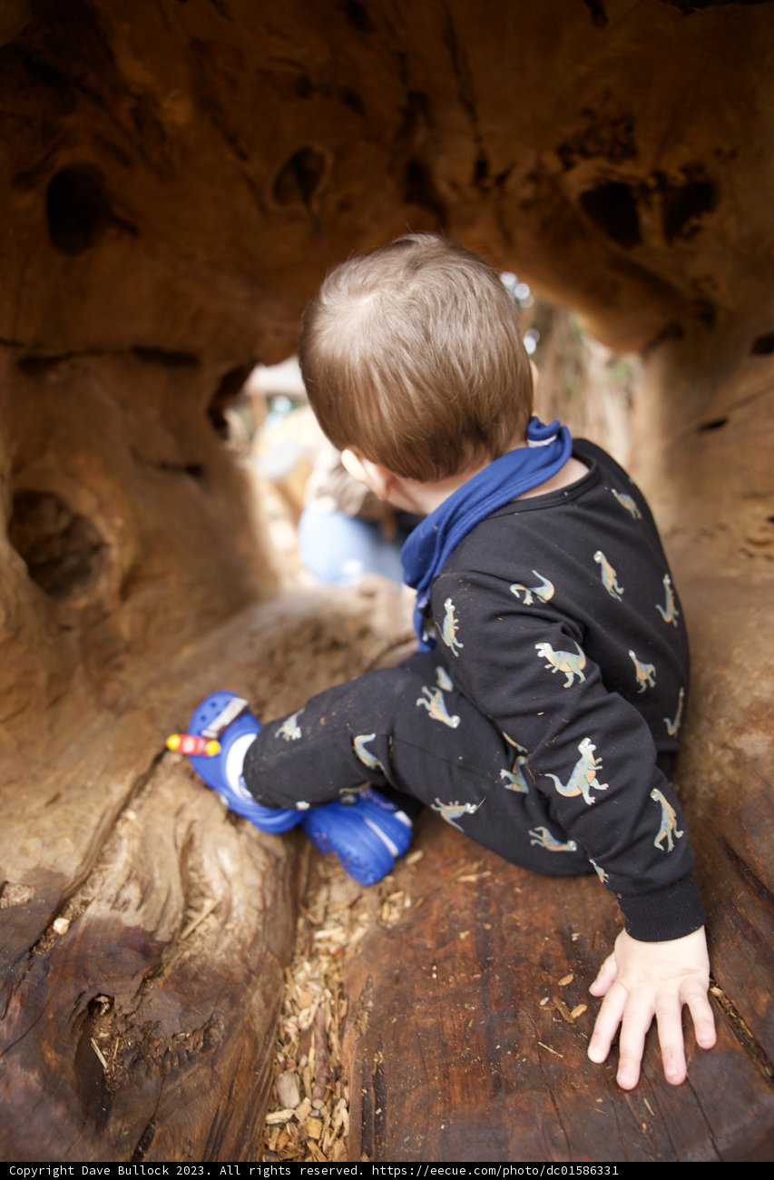 A Young Explorer in Nature's Playground
