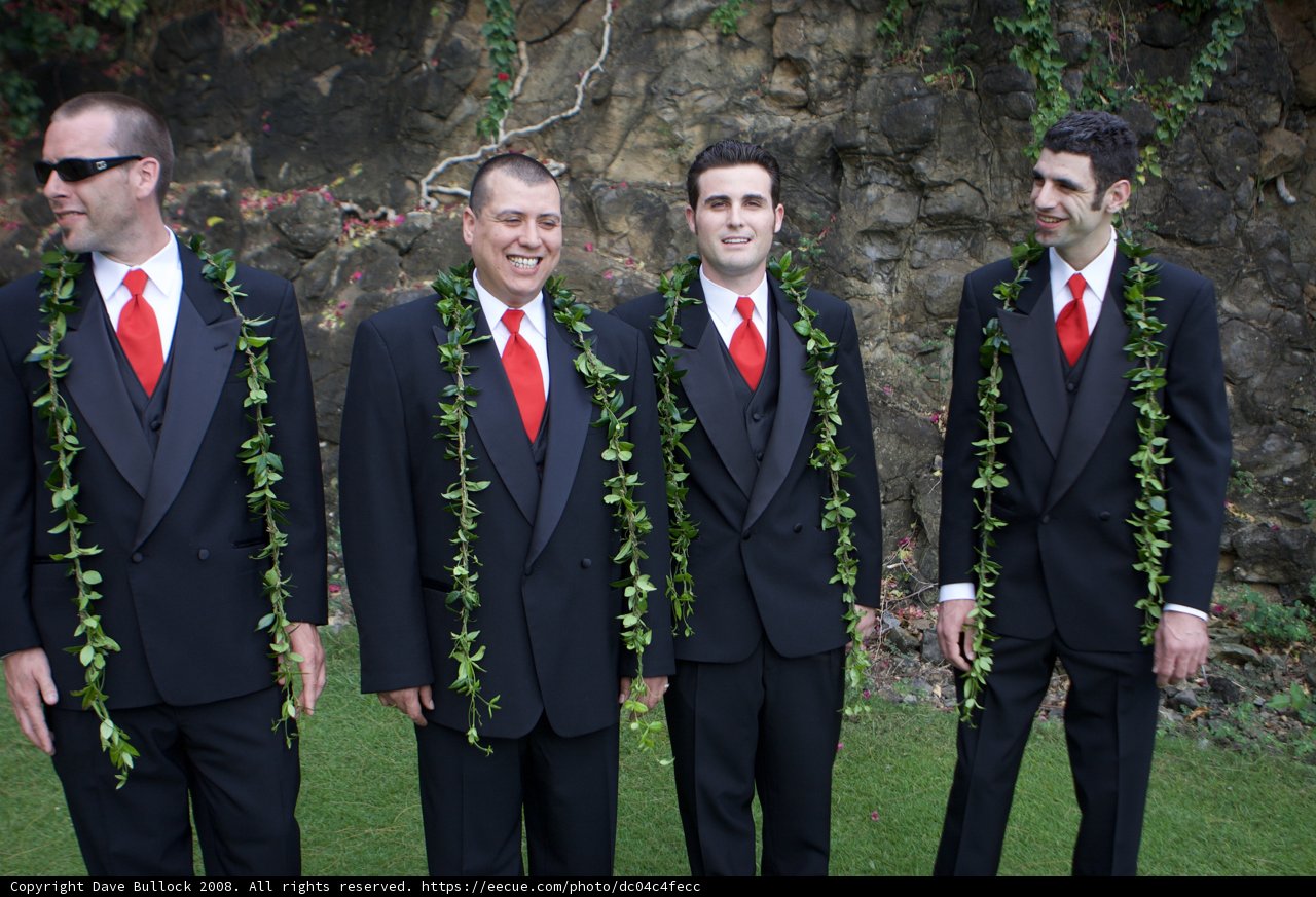 A Hawaiian Wedding with the Boys