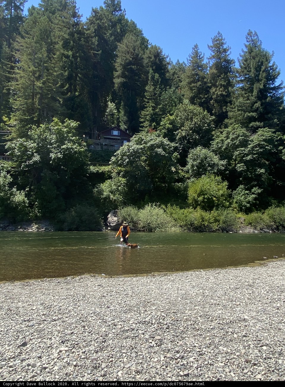 Kayaking through the Wild