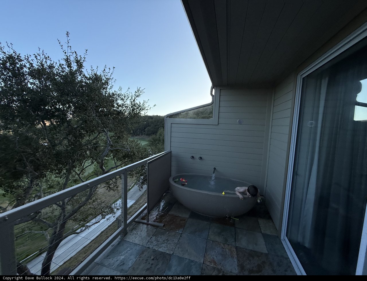 Tranquil Retreat on a Carmel Balcony