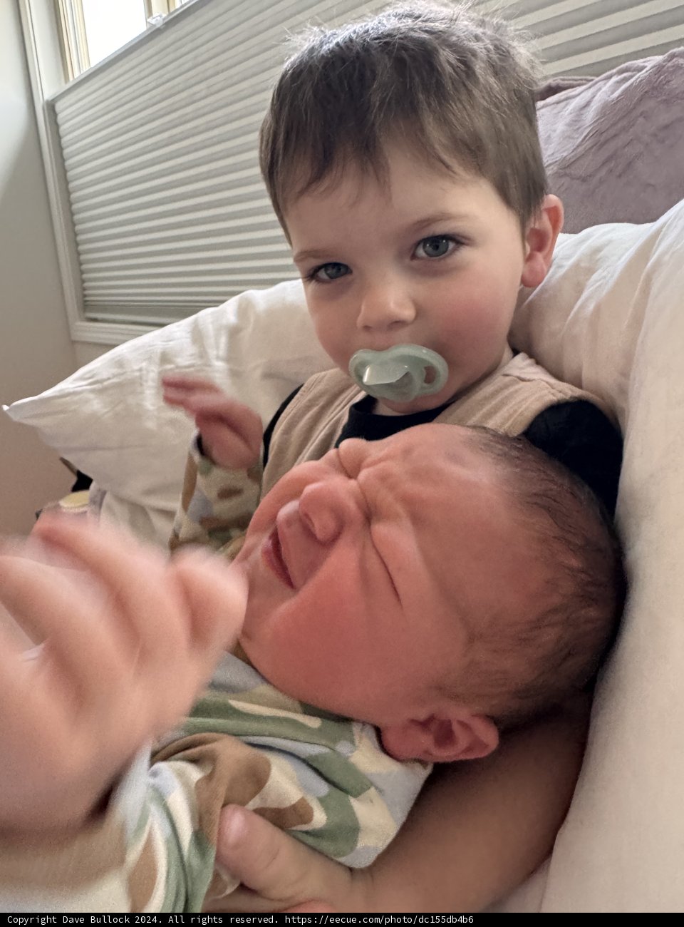 **Brotherly Moments at Home**
