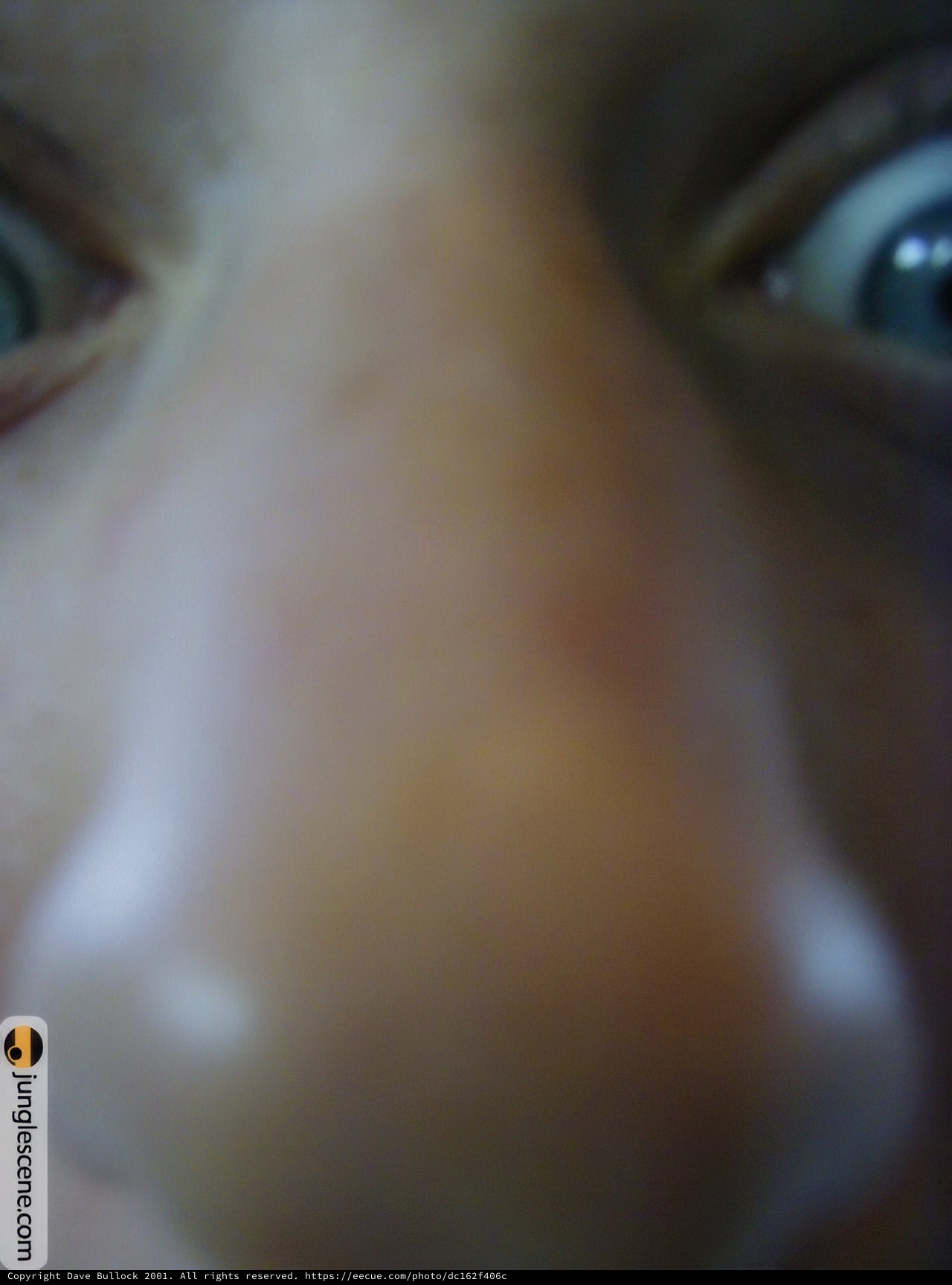 The Nose Knows