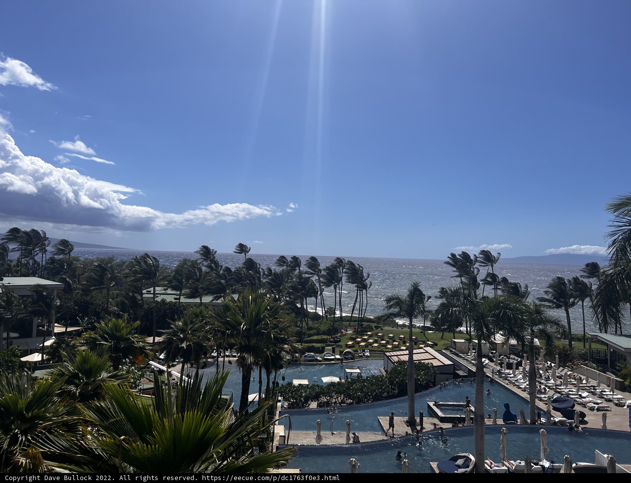 A Serene Summer View from the Westin Maui Resort Pool