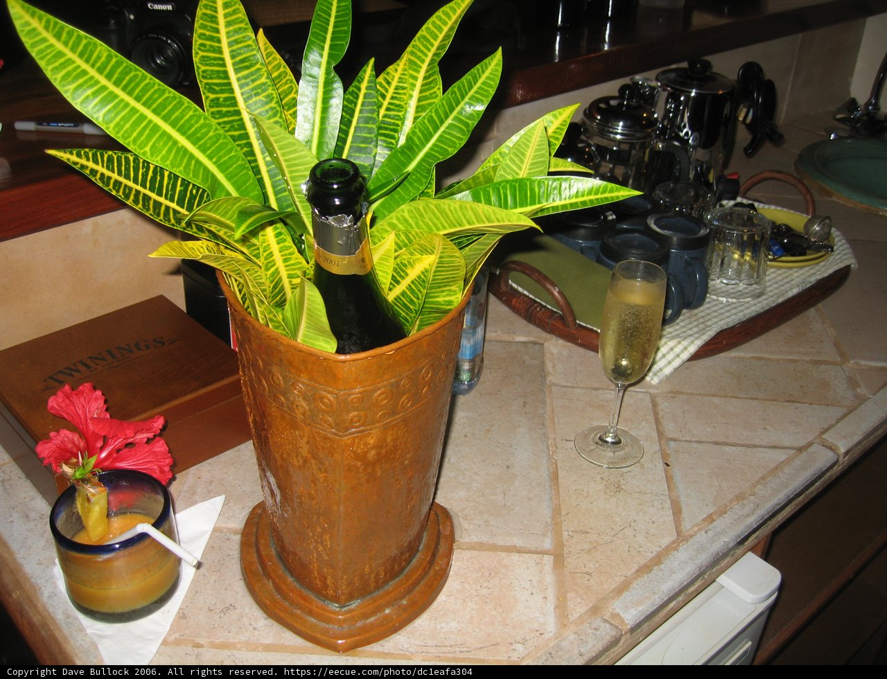 Foliage in a Decorative Vase
