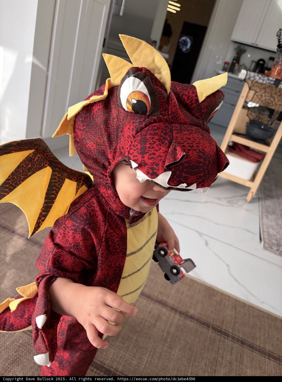 Little Dragon in the Living Room