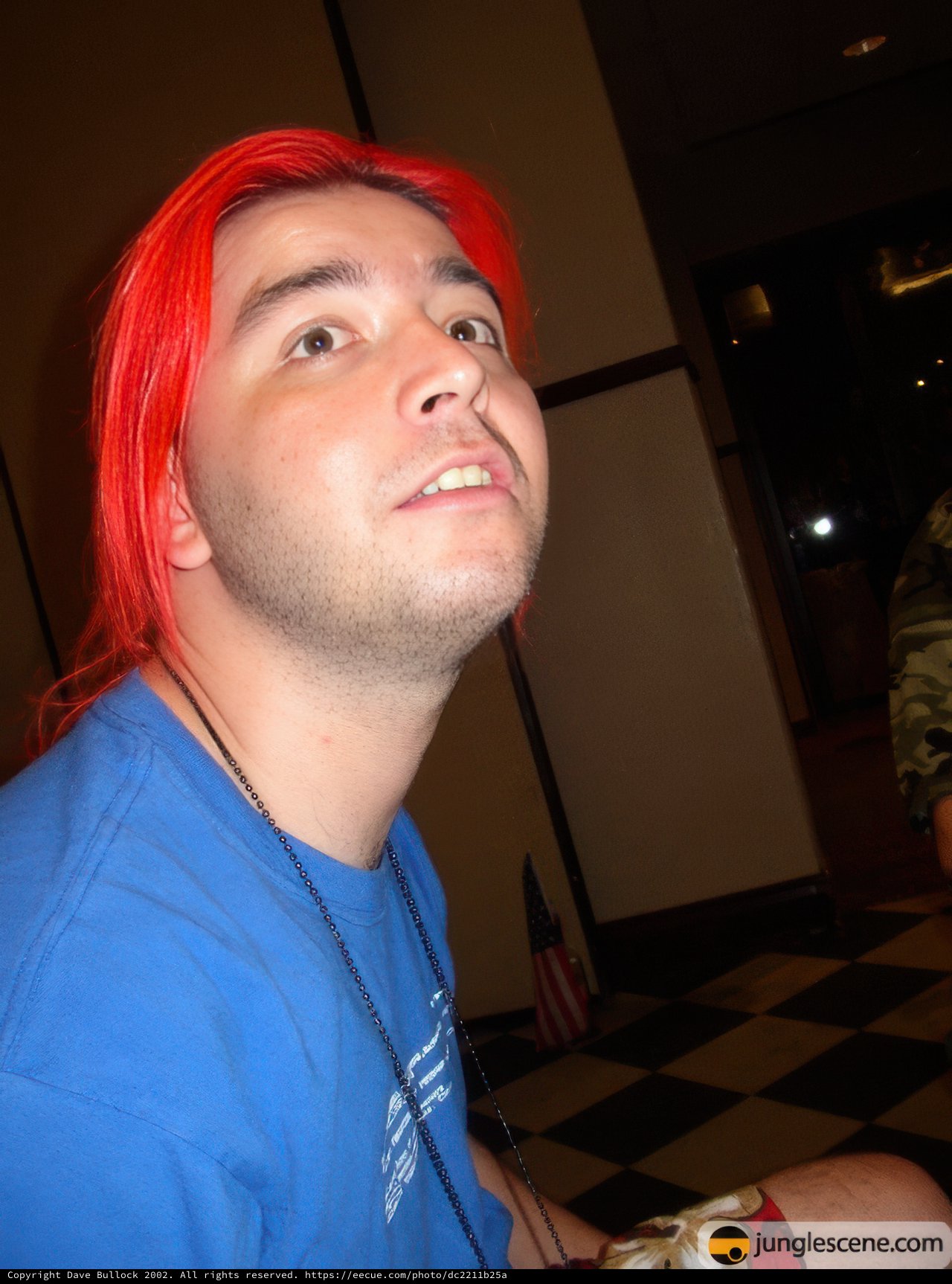The Redhead in Blue