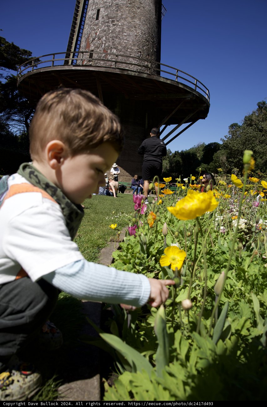 A Youthful Encounter with Nature