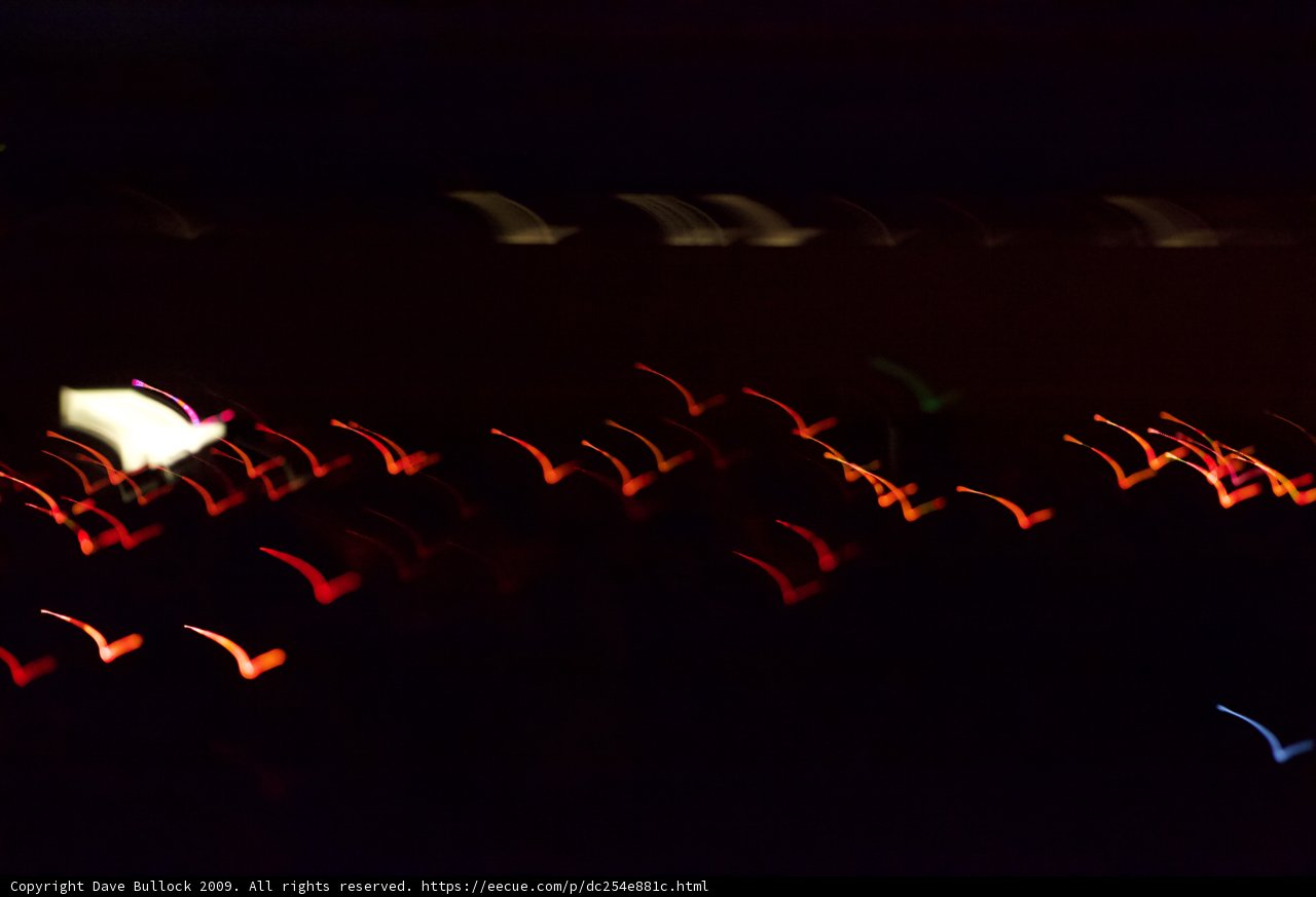 Group of People in Front of Dark Background