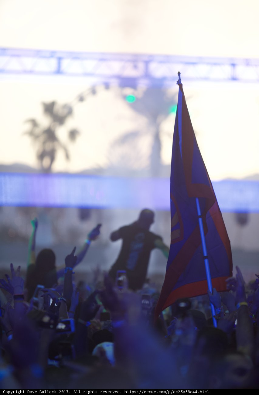 Flag-waving Crowd at Coachella Concert
