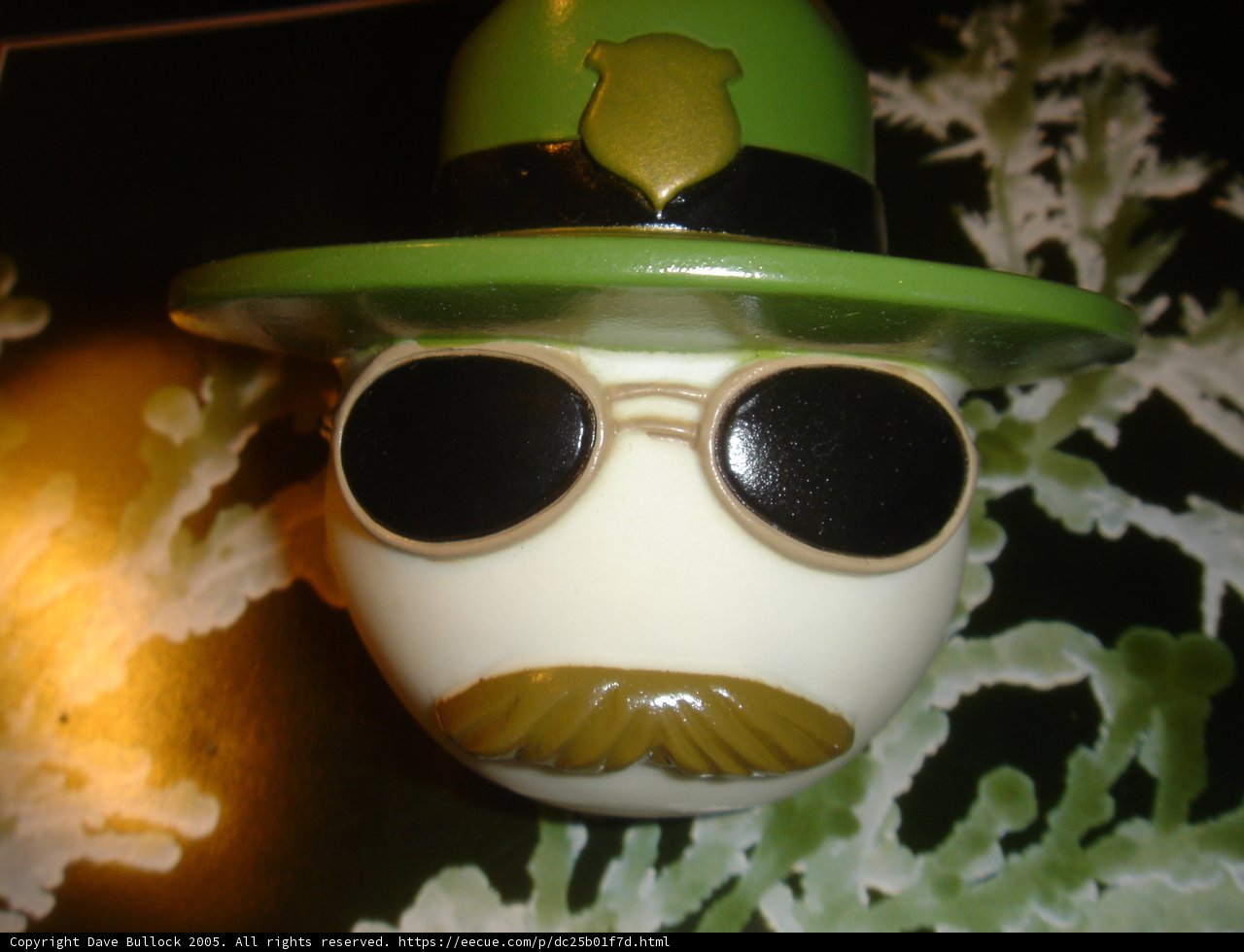 Green Hat Mustache Man Rocks the Sunnies