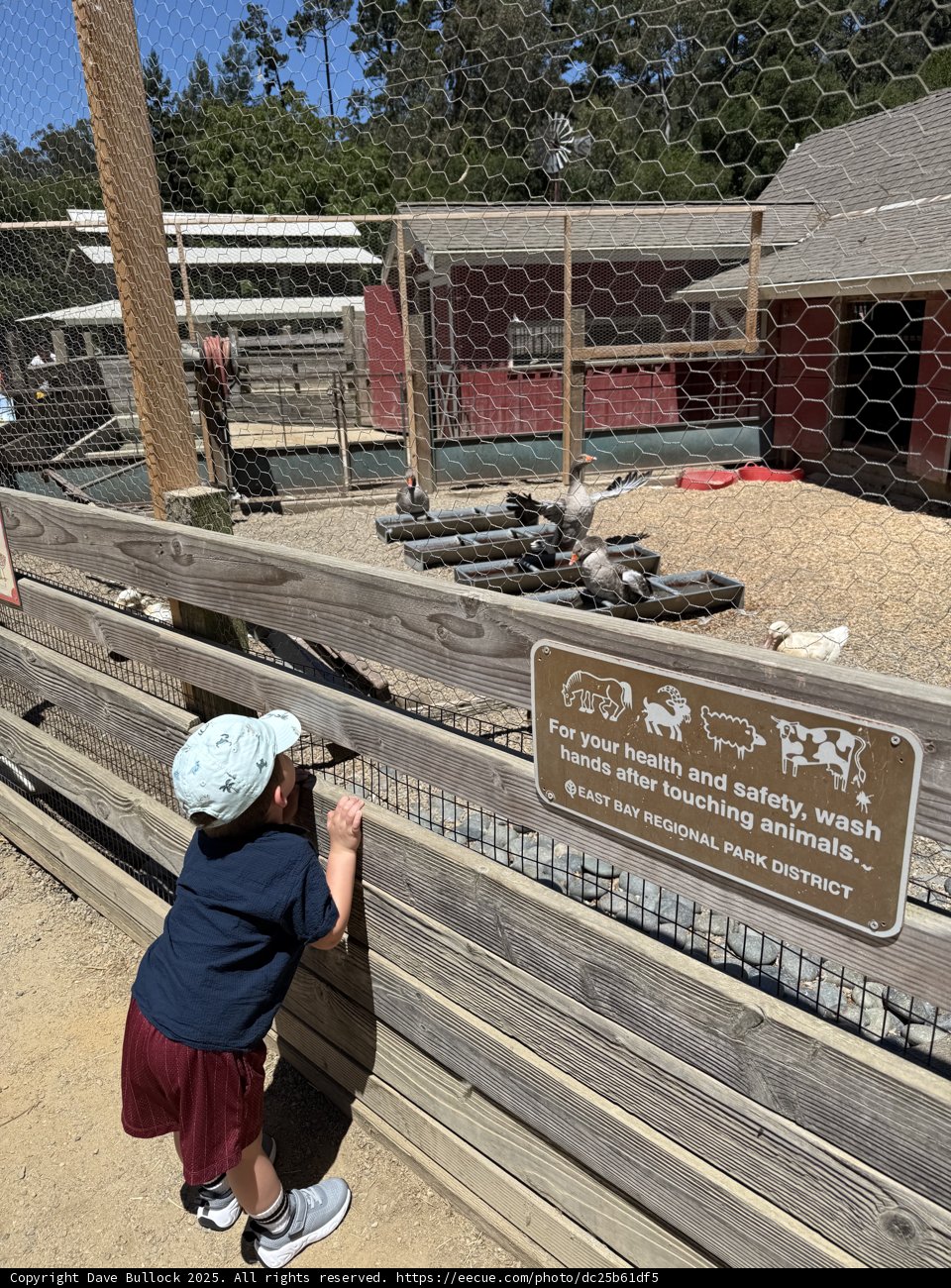 Curious Explorers at Tilden Nature Area