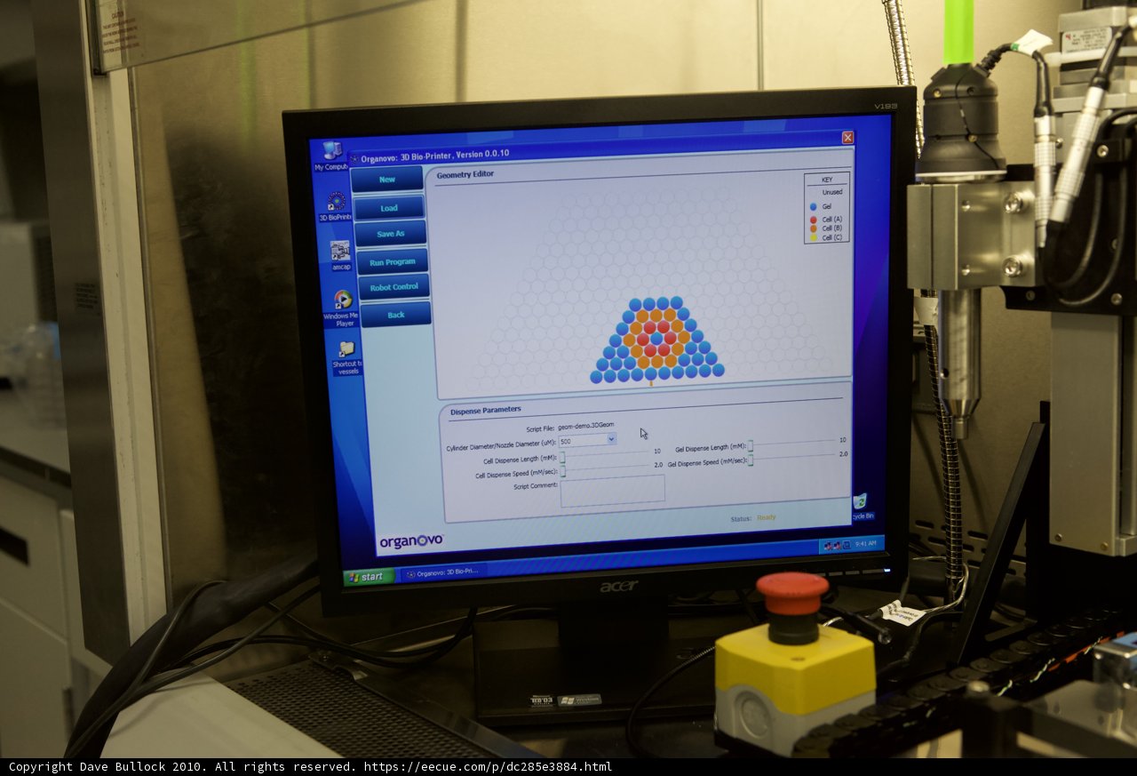 Screen Display of a Computer Program