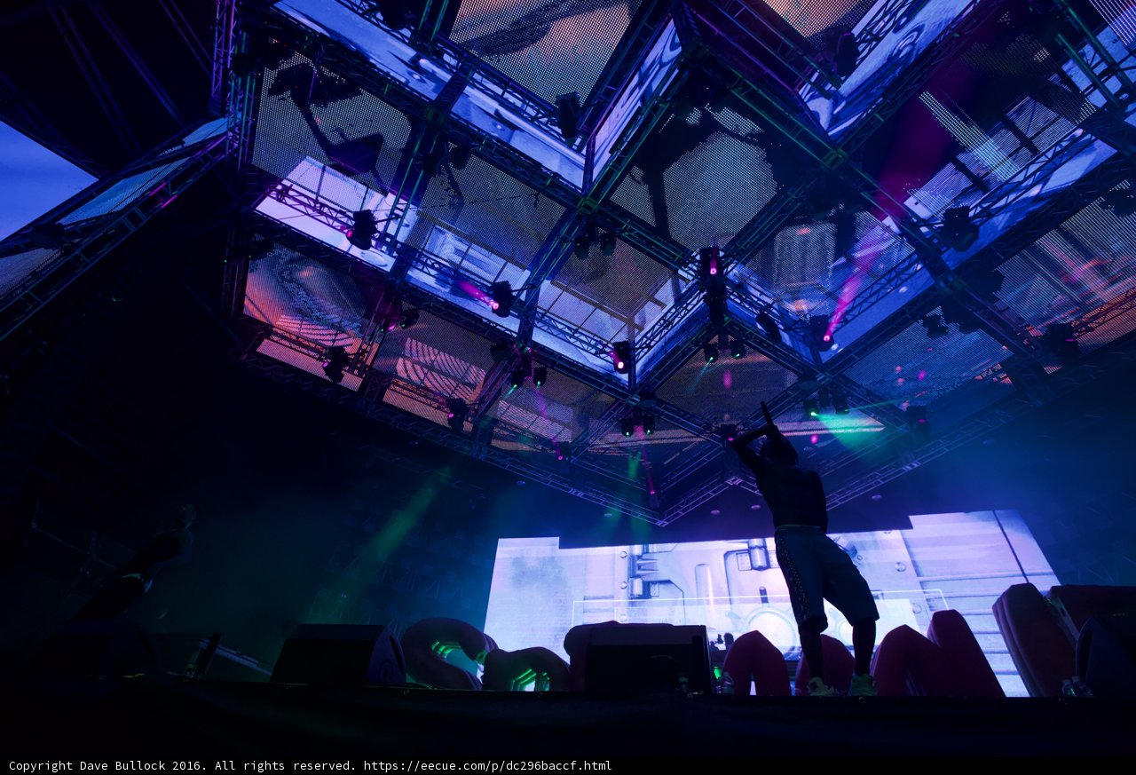 Electric Night