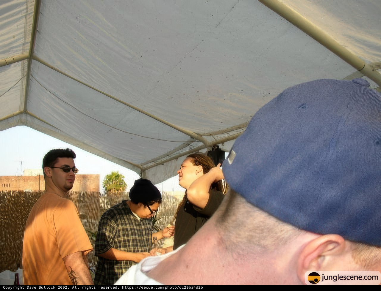 Under the Canopy