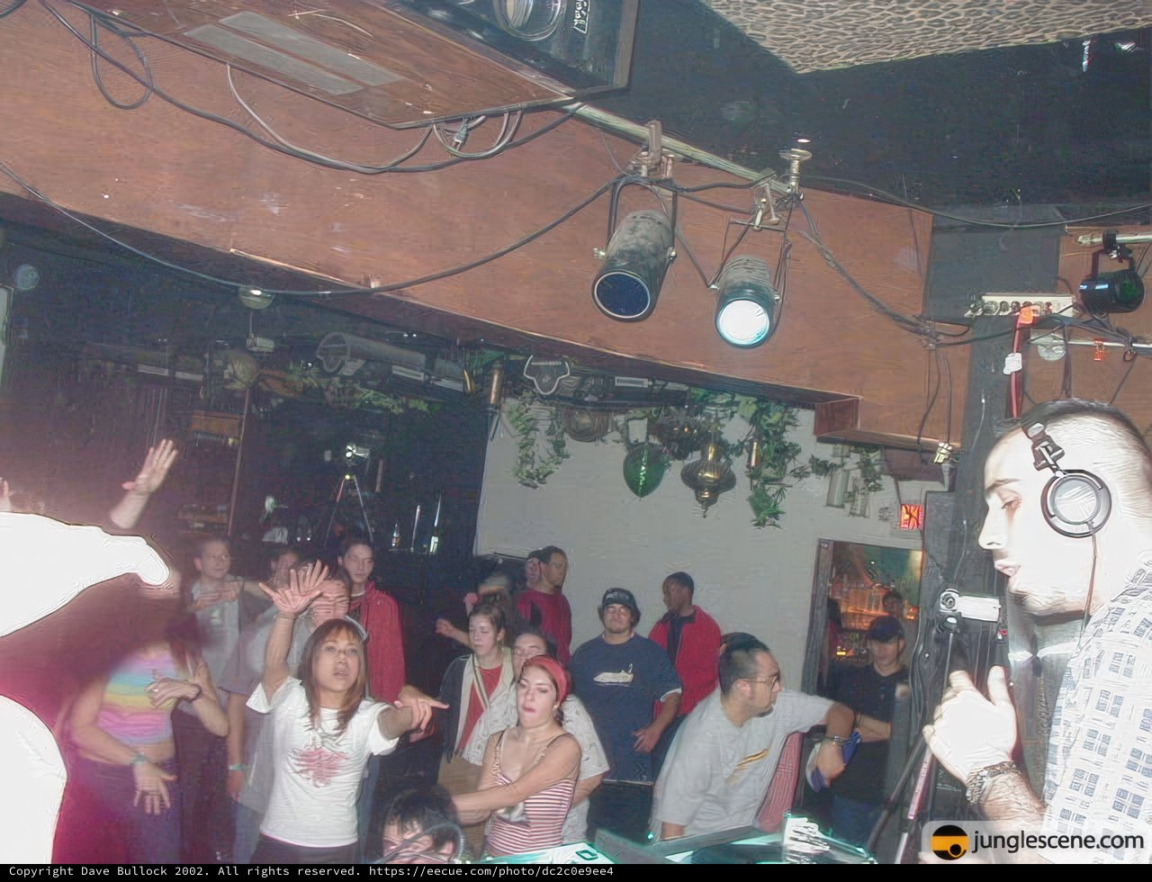 Nightclub Extravaganza