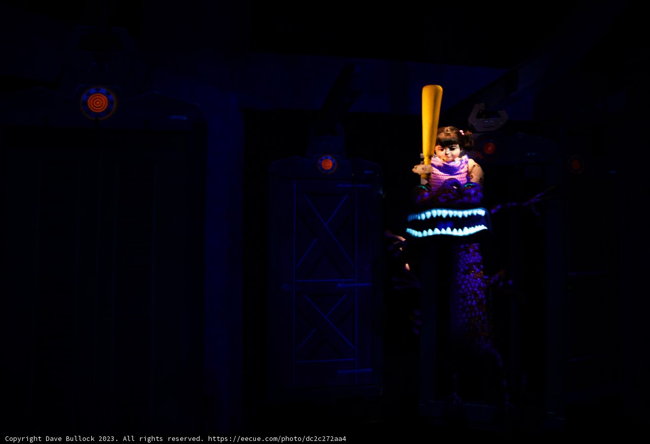 A Starlit Night at Disneyland