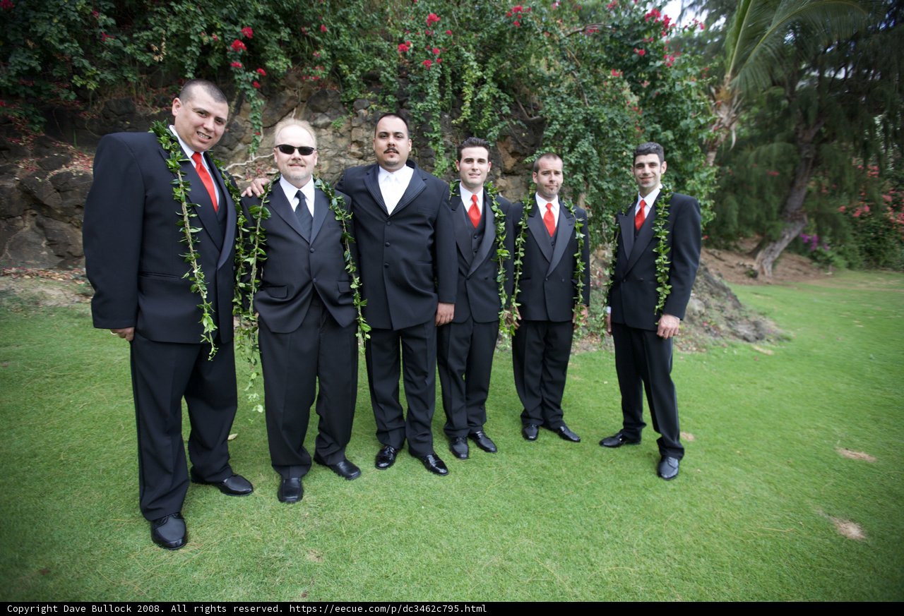 The Four Suited Gentlemen