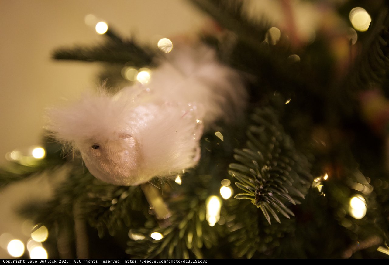 Fluffy White Bird Ornament on Illuminated Christmas Tree