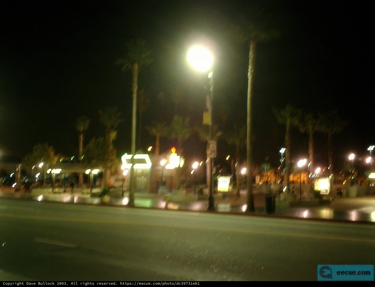 Nighttime Metropolis