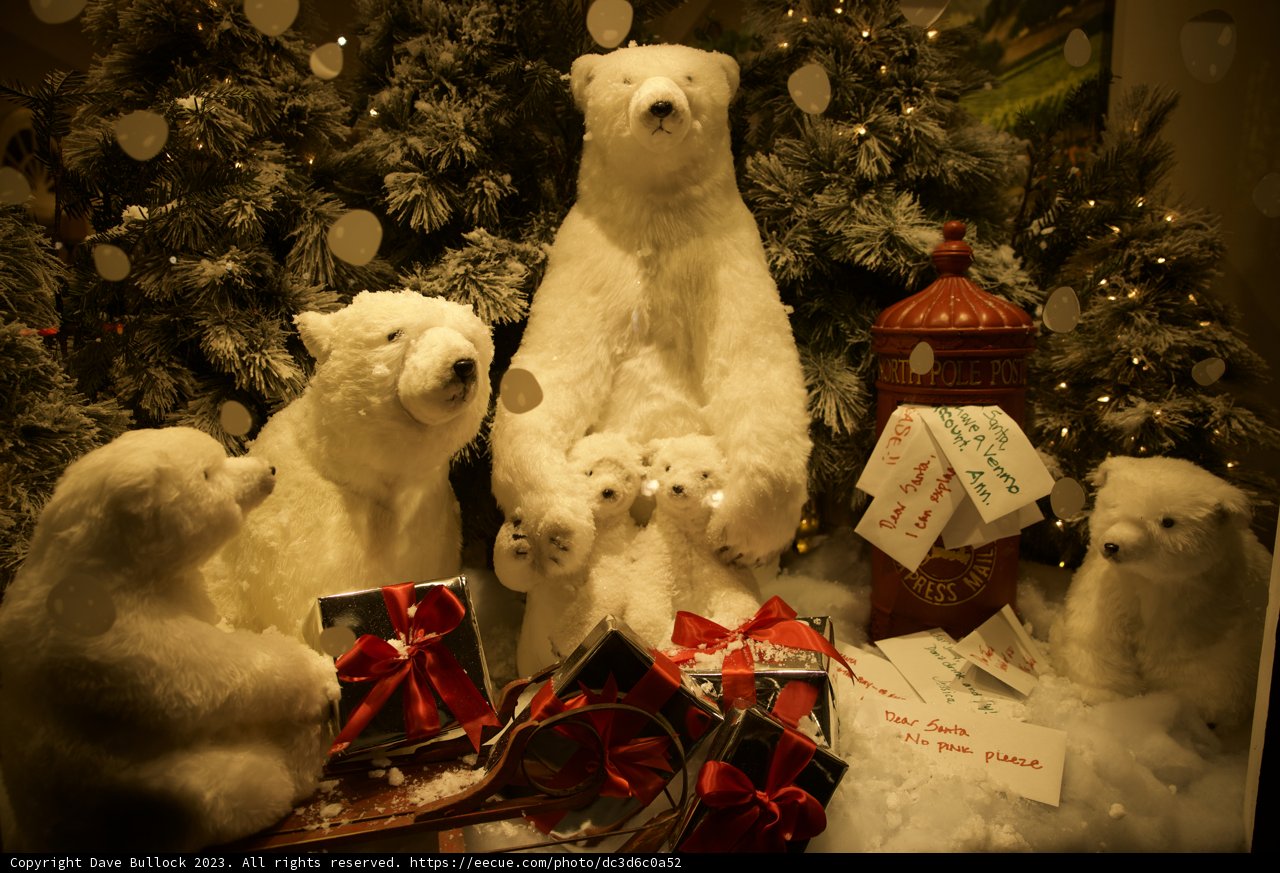 Teddy Bear Christmas in Downtown Sonoma, 2023
