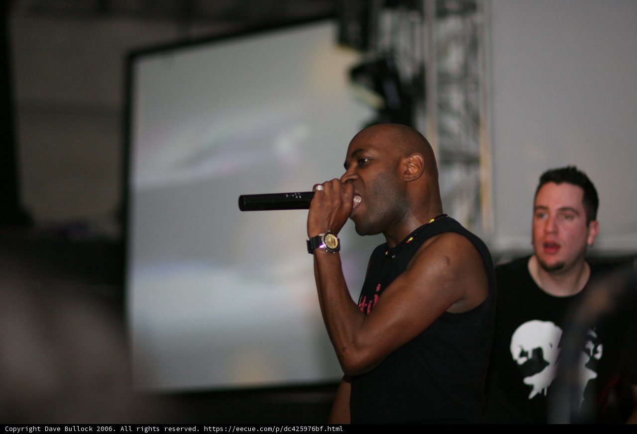 Bass Rush Performance