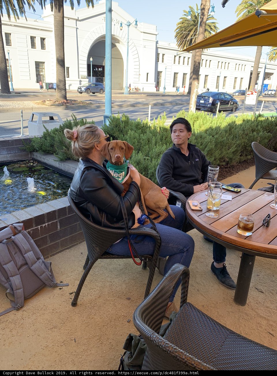 A Relaxing Afternoon at a California Cafe