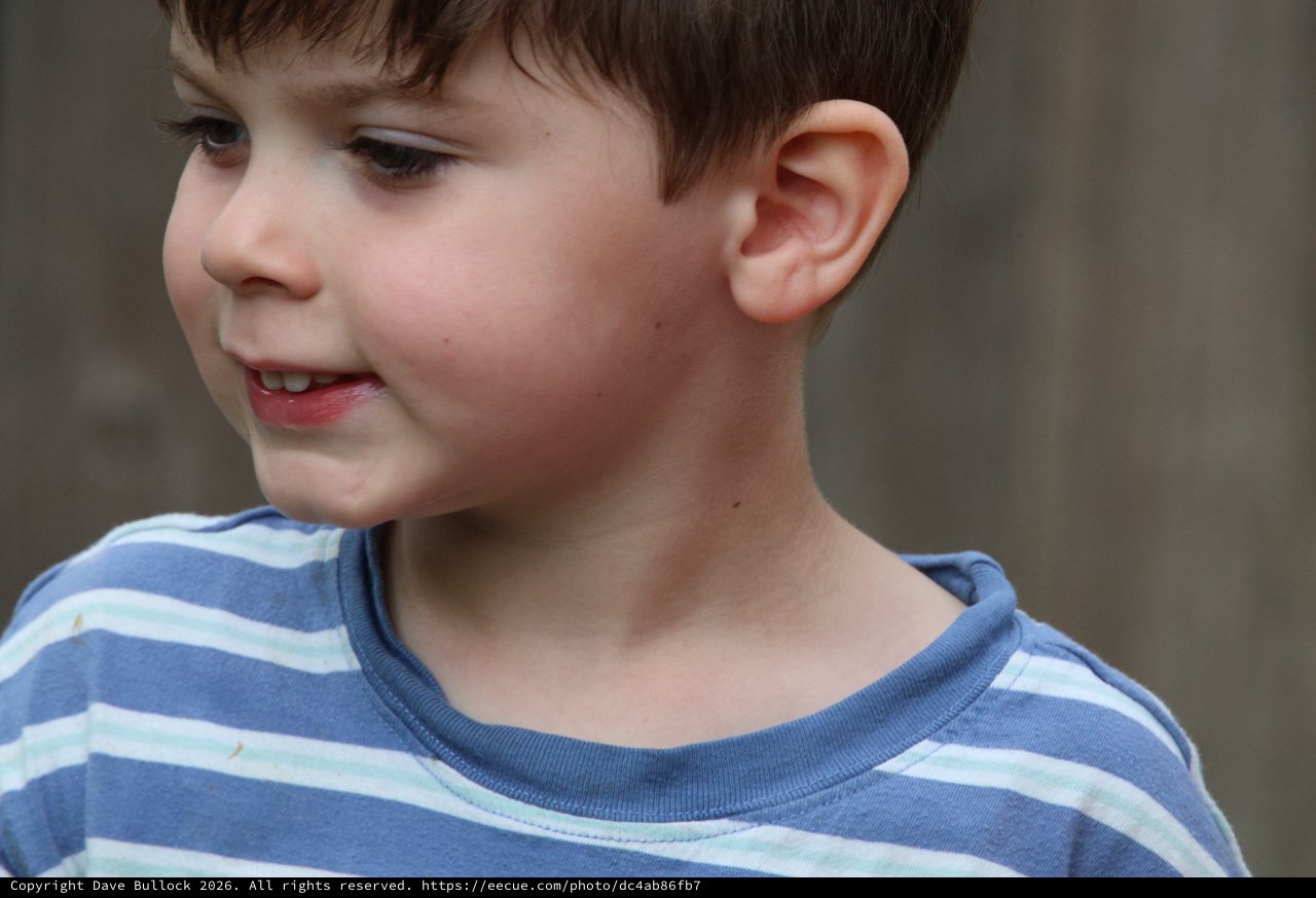 Young Boy in Striped Shirt Portrait