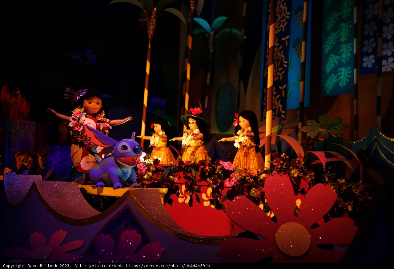 Magical Moments at Disneyland
