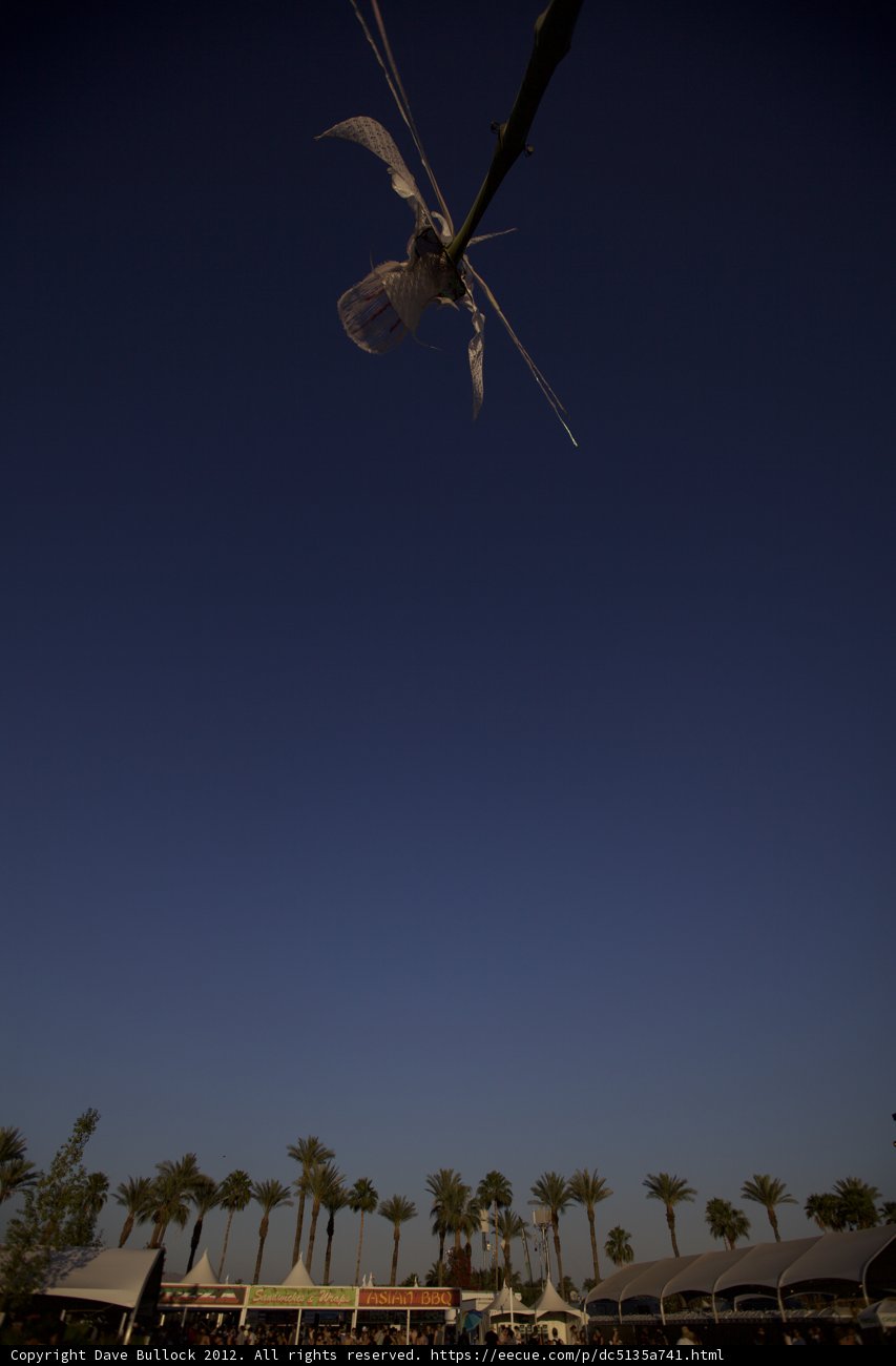 Soaring with the Sun
