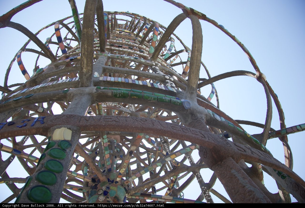 Towering Fun at the Amusement Park
