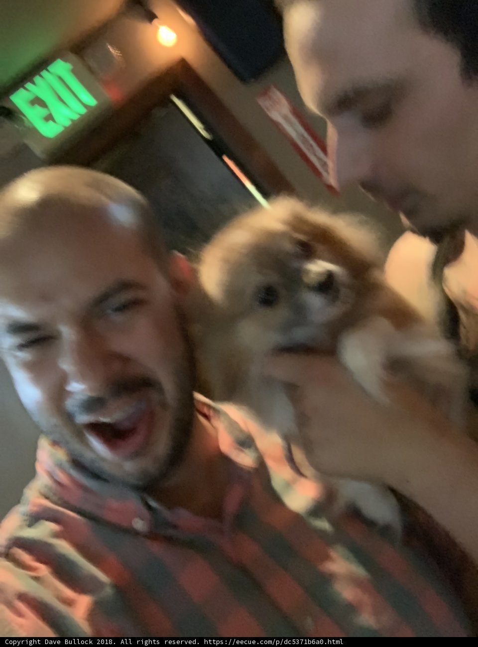 Pups and Pints
