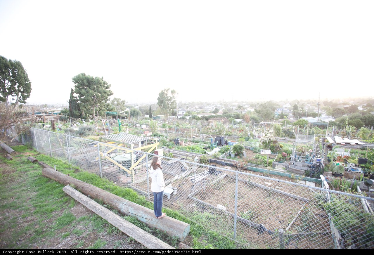 Community Garden at Sunset