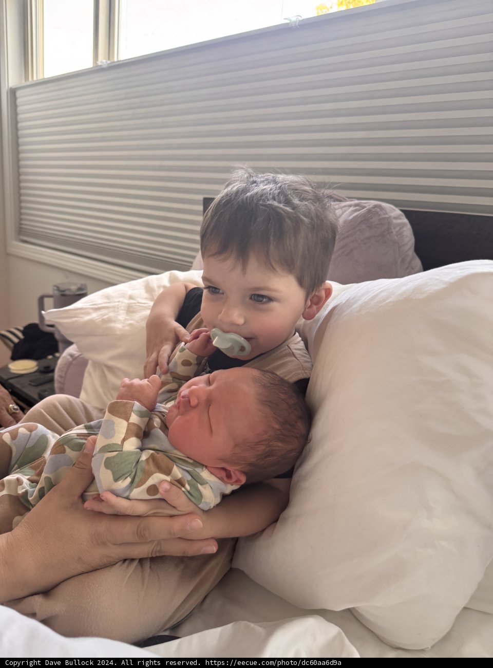 Brotherly Bonds