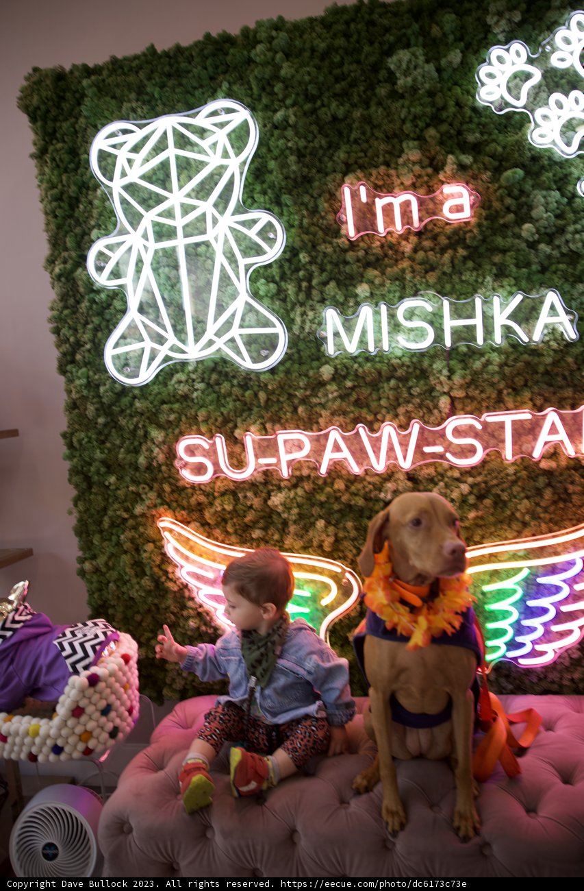 Surprise! A Neon Fare for Hi-Li's 5th Birthday Bash