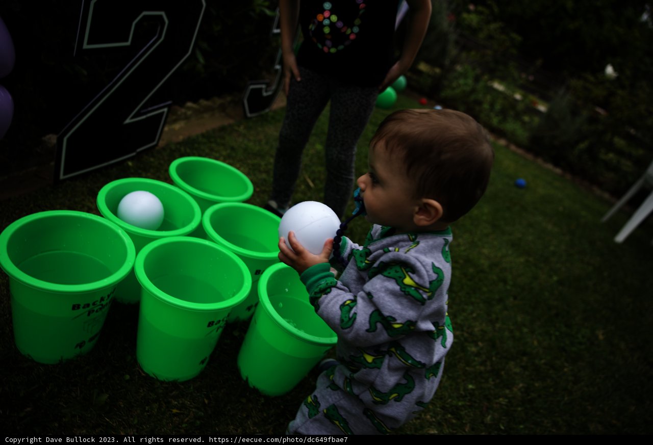 Backyard Ball Adventures