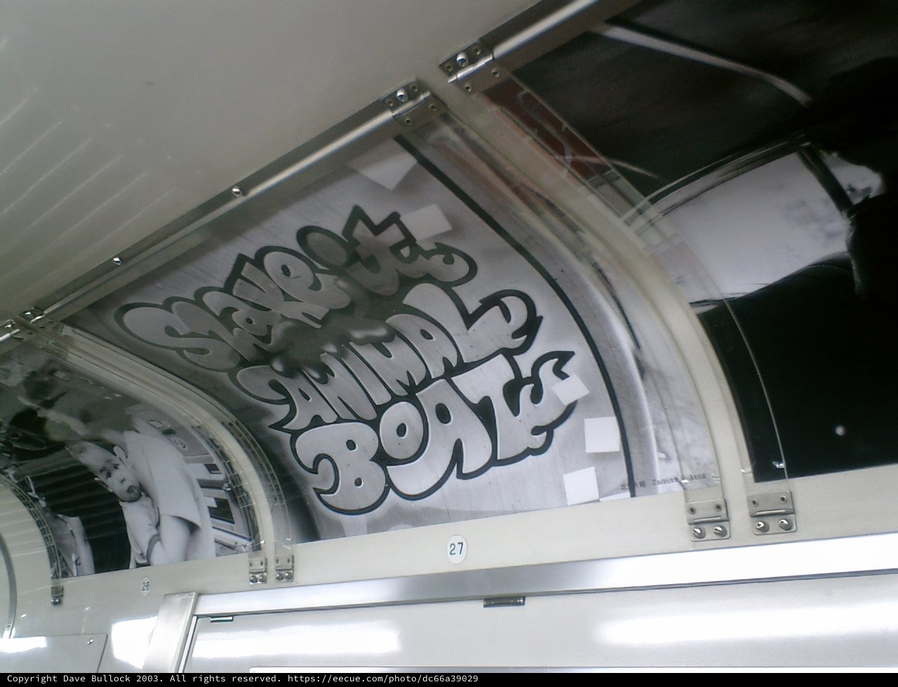 Tokyo Subway Train Graffiti