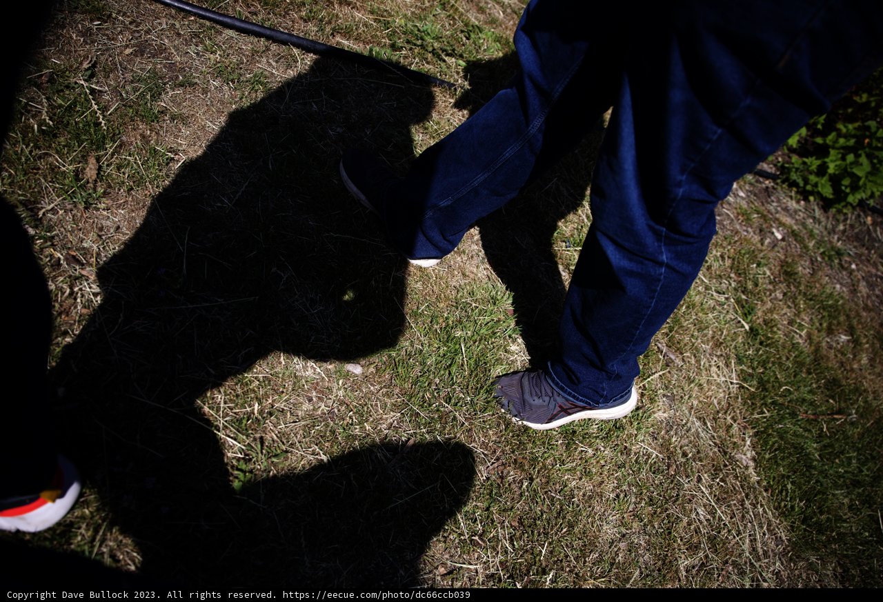 Stepping Towards a Greener Future