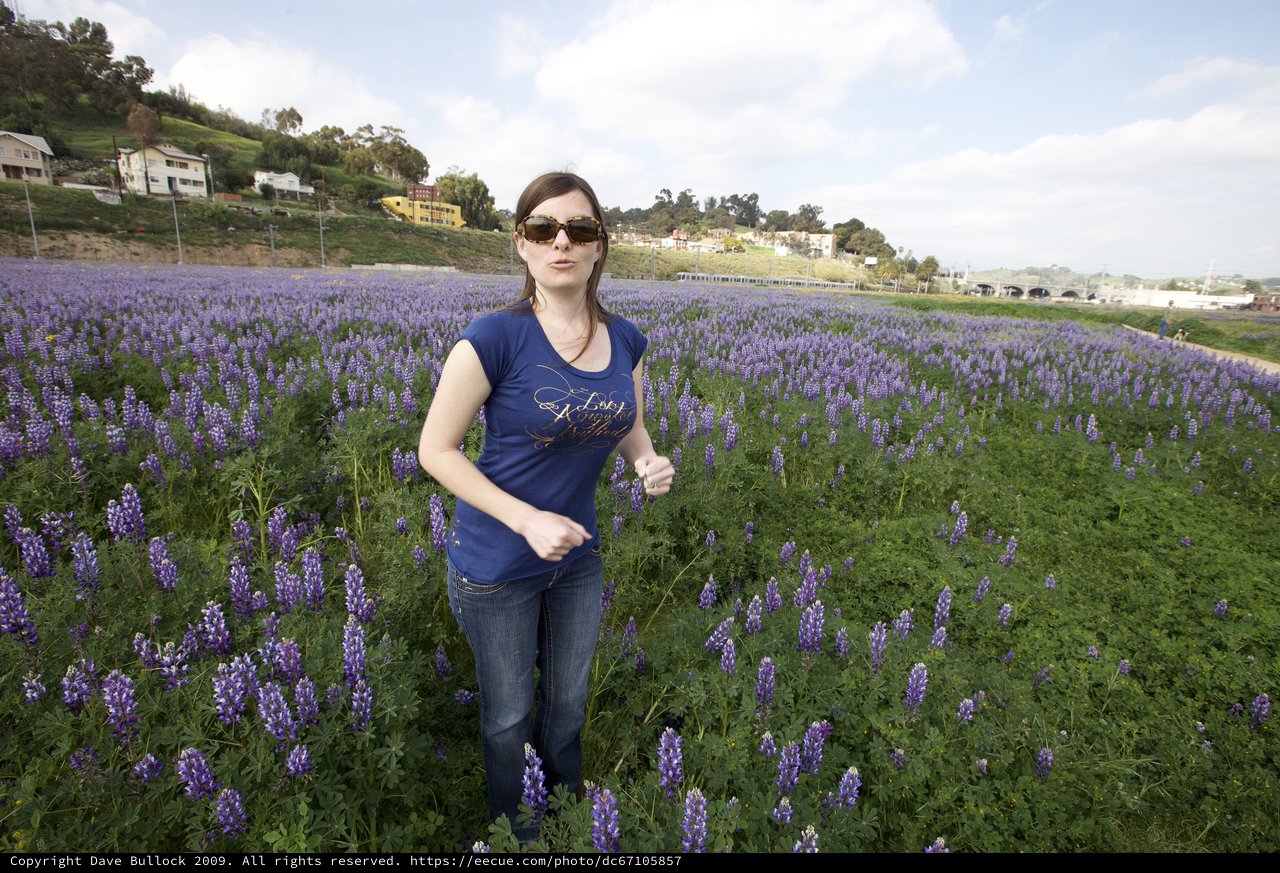 Woman Standing in Vast Purple Lupine Flower Field